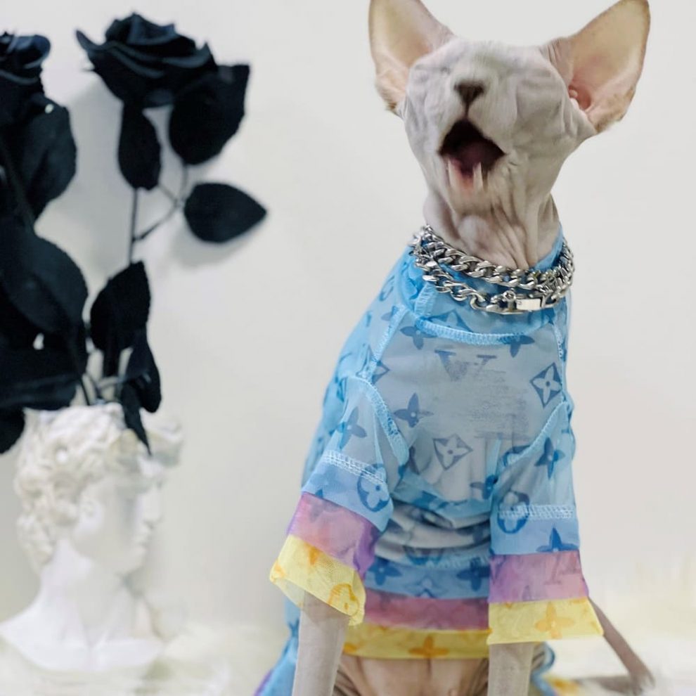 Shirt For Cats With Sleeves Organza Louis Vuitton Shirt For Sphynx