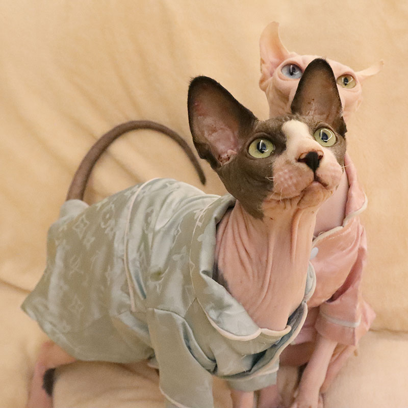 Louis Vuitton Silk Cat Pajamas For Women