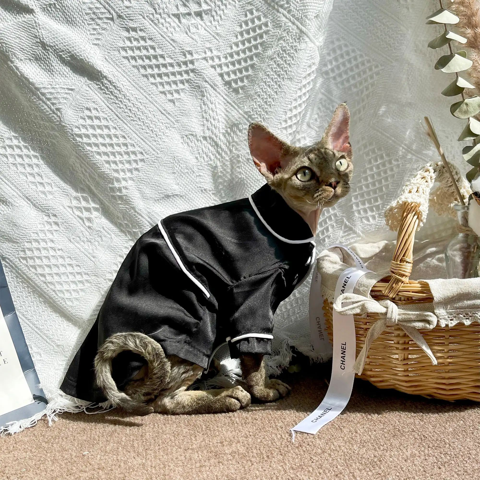 Louis Vuitton Cat & Dog Monogram Silk PJ Set - 34