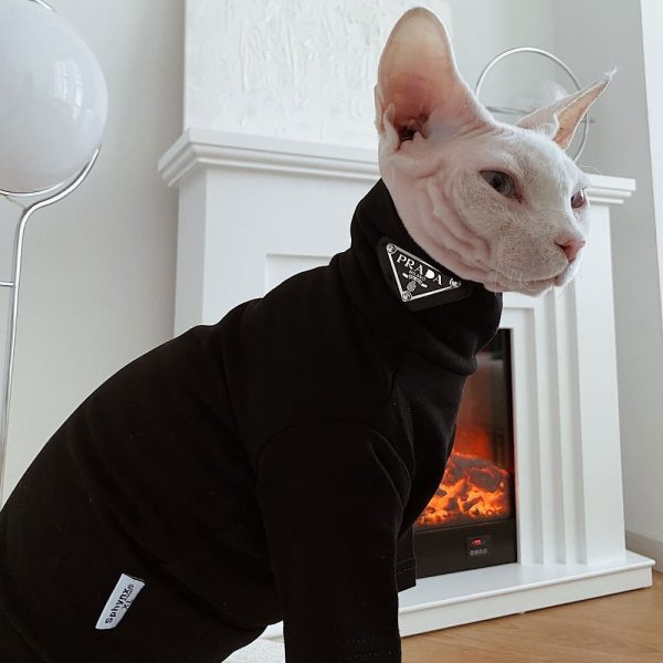 Sphynx Clothing | LV Jumper for Cat, Sphynx Cat Outfits, Blue, Grey, Pink