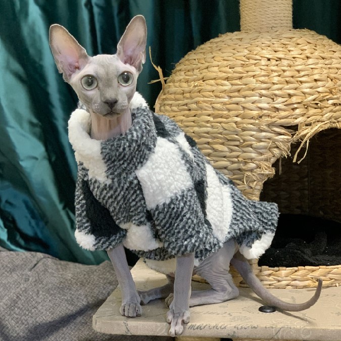 Hairless Cat's Winter sweater Soft stars. Organic fleece. for Sphynx Cats