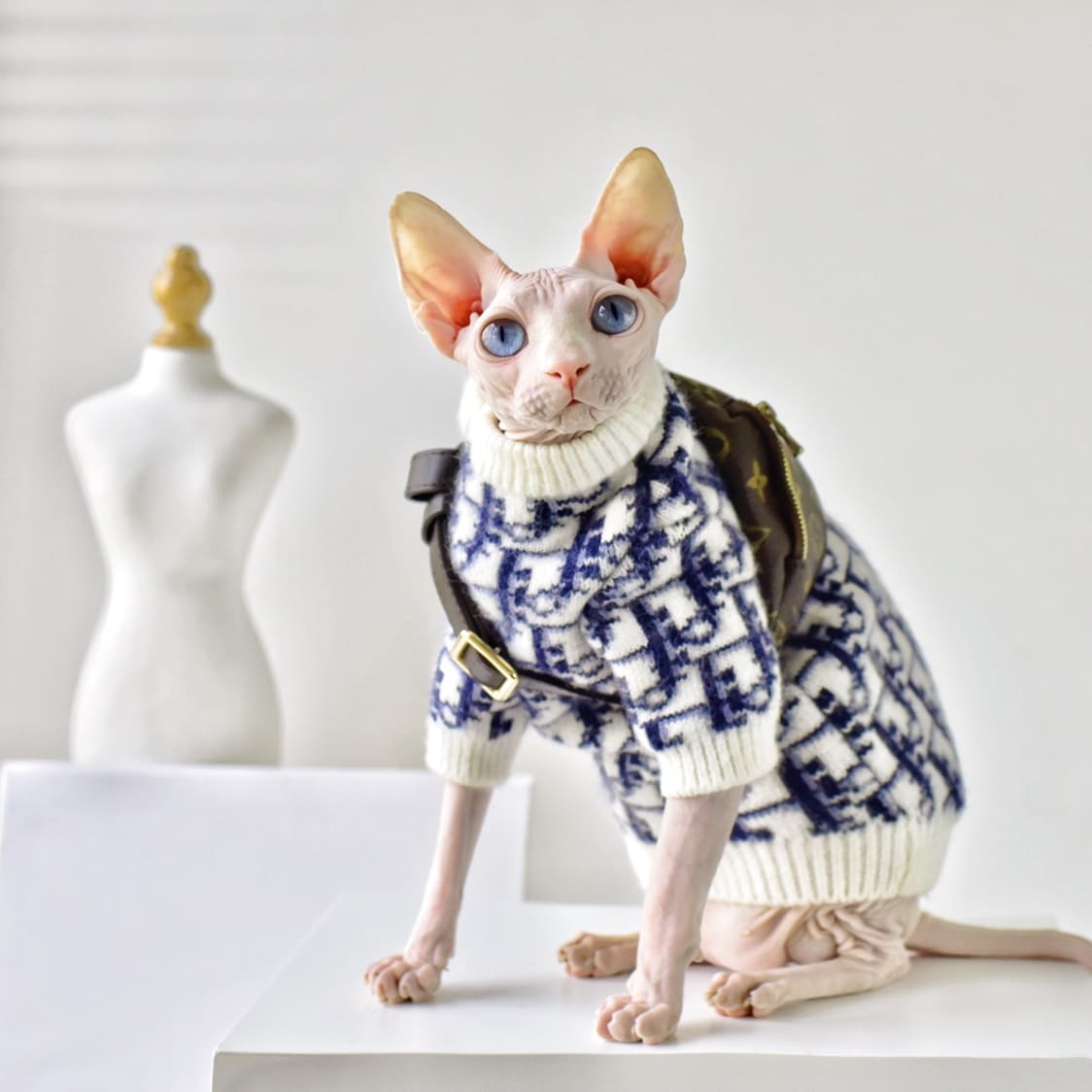 Designer Cat Sweater | LV Sweater for Sphynx, Designer Sweater