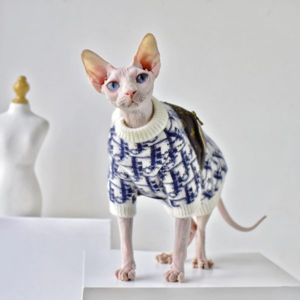 Cat T Shirts for Cats, Louis Vuitton Cat Clothes, Cat Designer Shirt