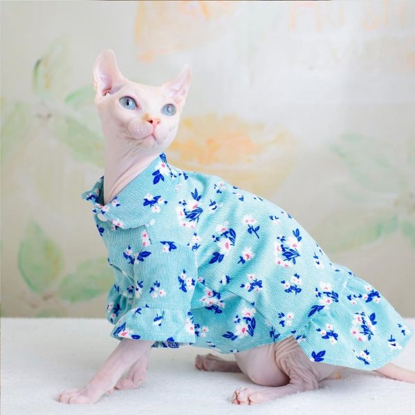 Princess Costumes for Cats | Dresses for Cats, Cute Sphynx Cat Clothes