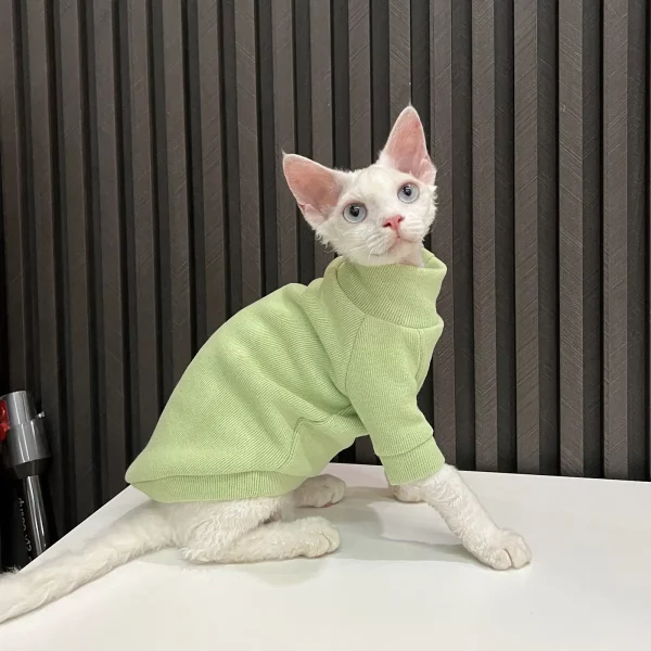 Sweater for Cat, Sphynx Cat Sweater, College Style Cat Sweater
