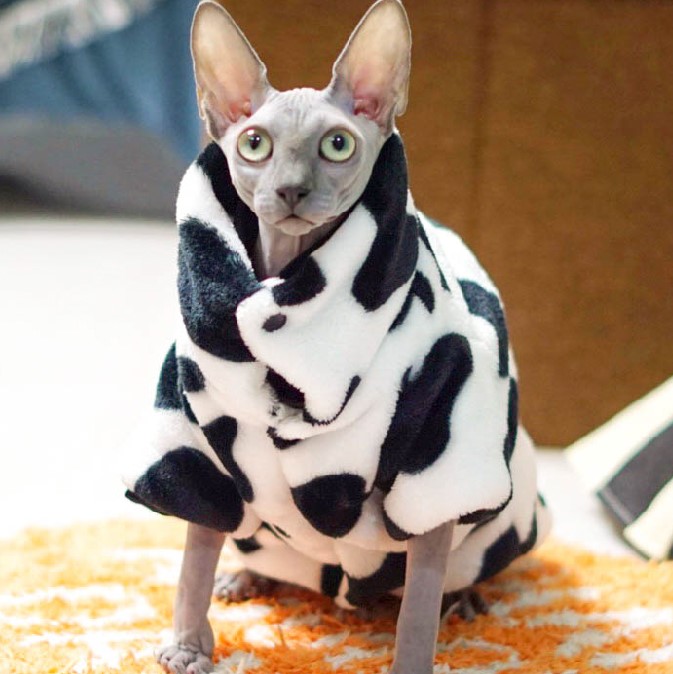 Pet Cat Clothes | Hairless Cat With Winter Coat, Rabbit Velvet Plaid Coat