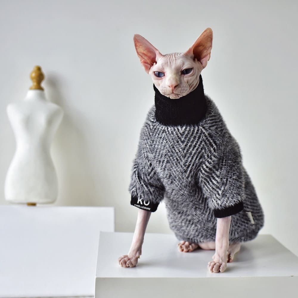 Hairless Cat Sweater Blue Knit Sphynx Cat Pullover Jumper 
