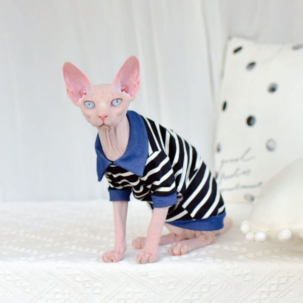 Shirts for Hairless Cats & Sphynx Cat | denim stripe t-shirts