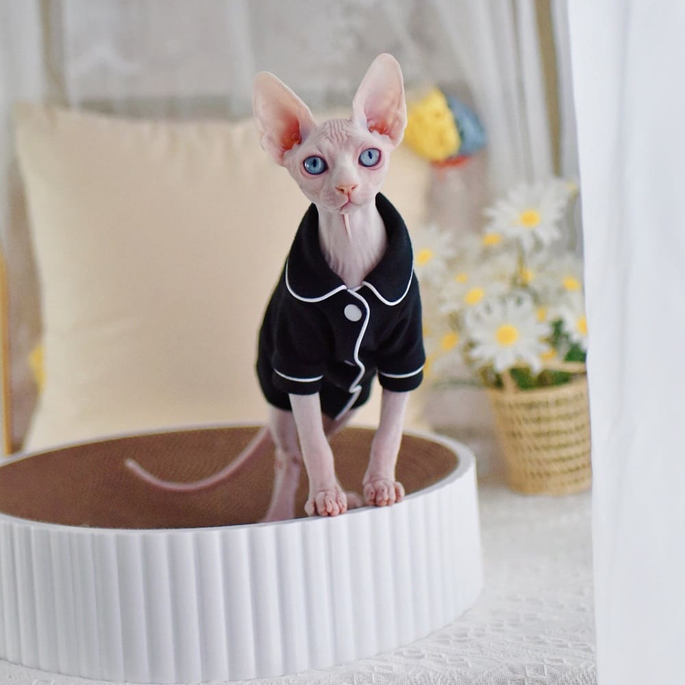 Sphynx Cat Jacket & Coat for Hairless Cat | Plaid jacket suit white