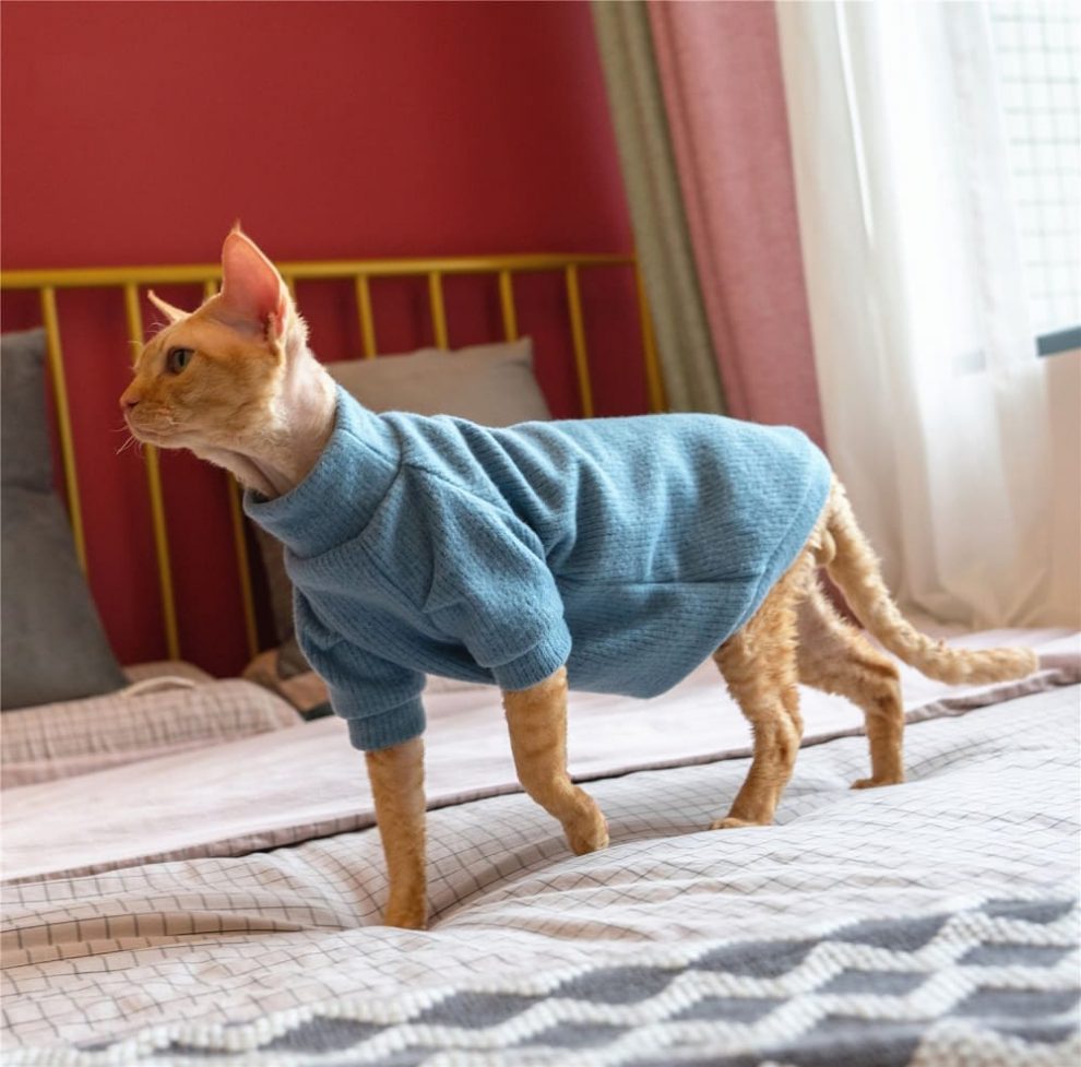 Cat Sweater-Blue Turtleneck Sweater · YESWARMG