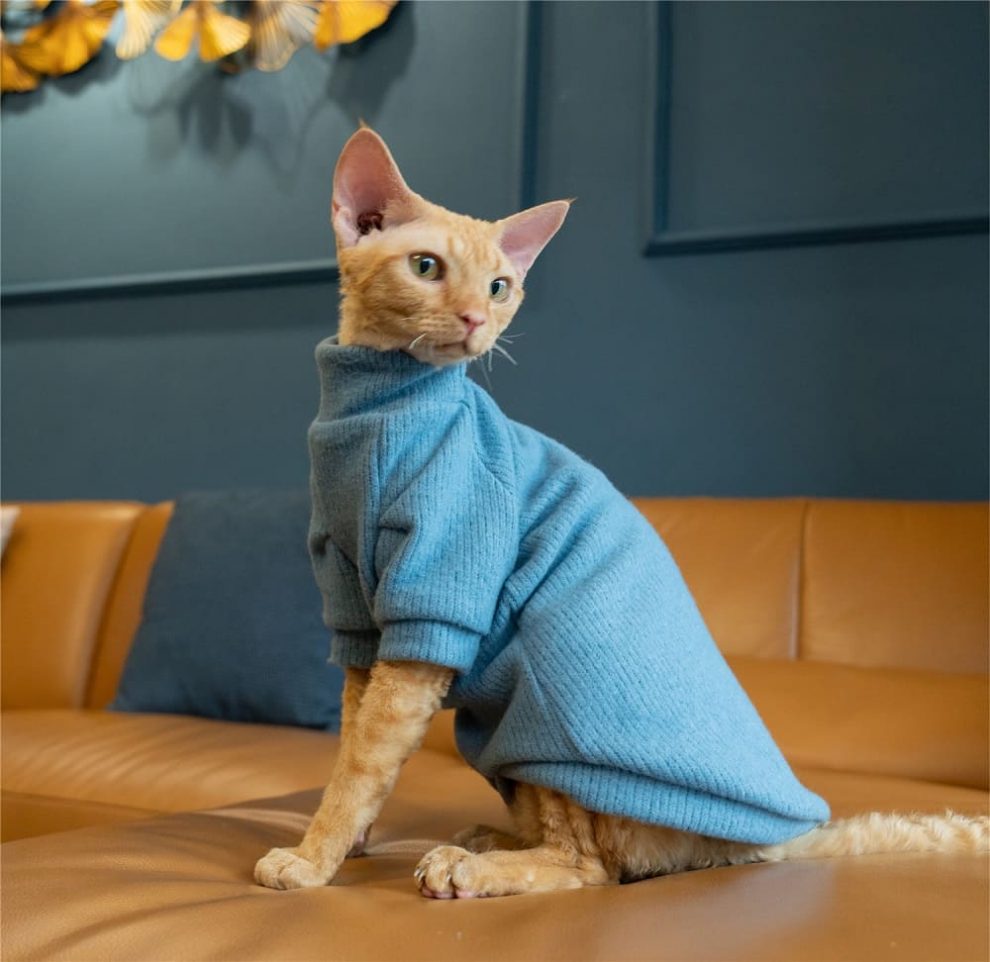 Cat Sweater-Blue Turtleneck Sweater · YESWARMG