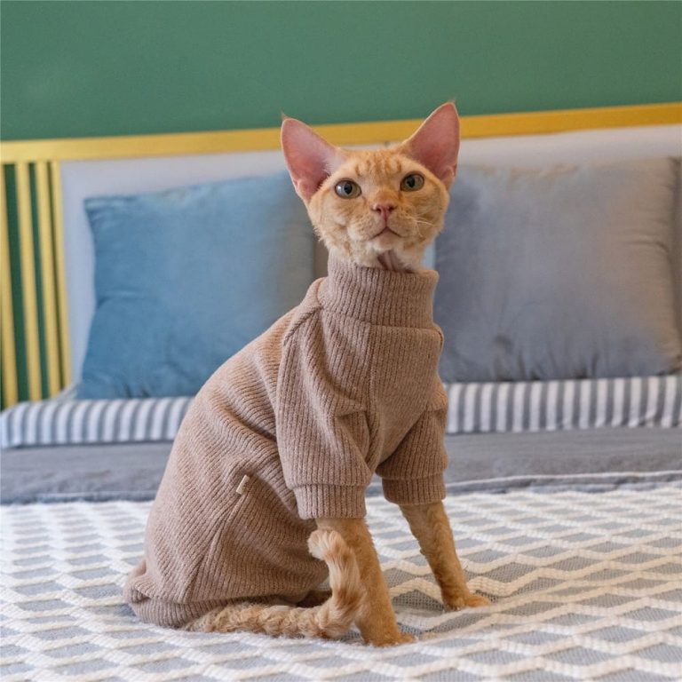 Hairless Cat Cute Sweater | Cat Sweater, Ugly Cat Sweater-Turtleneck