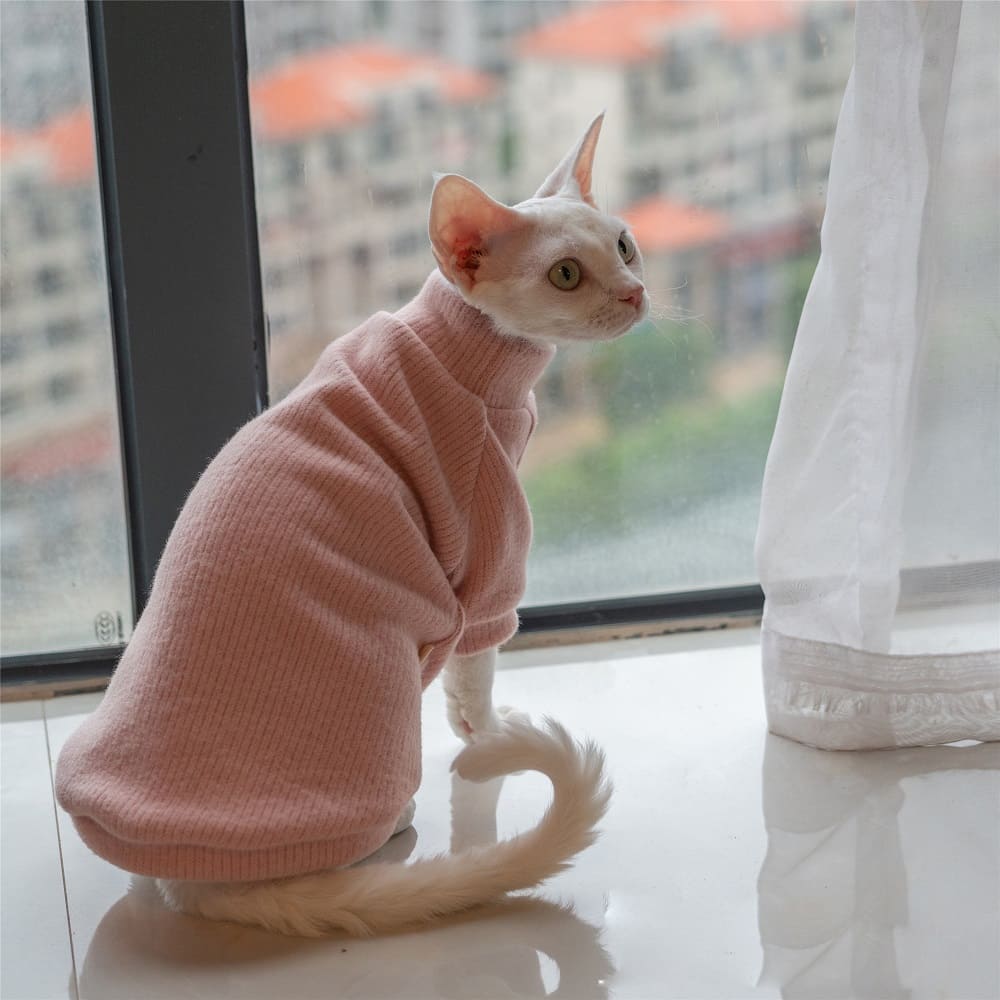 Sphynx Cat Sweater Strawberry – My Sphynx kitten