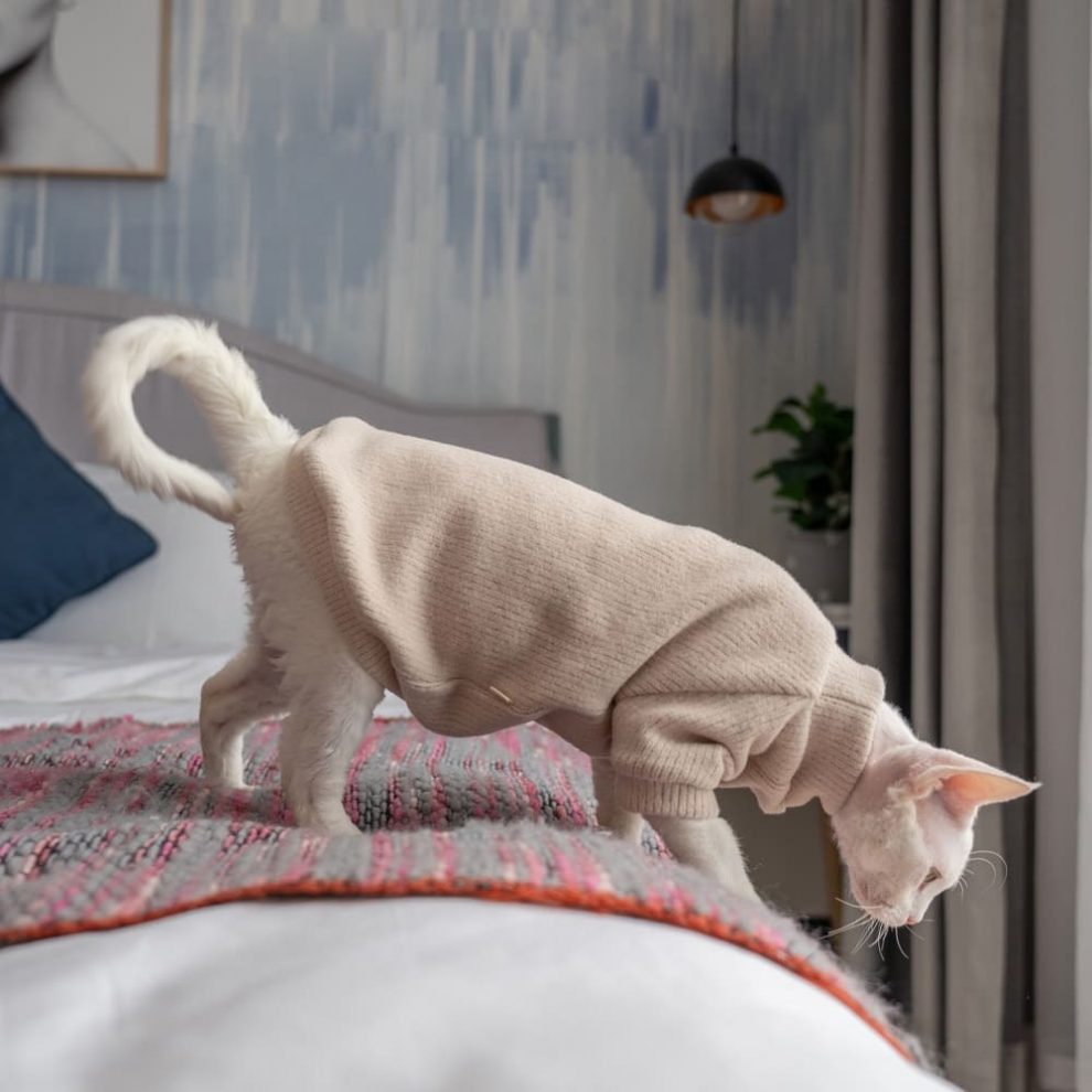 Sweaters for Sphynx Cats | Sphynx Kitten Sweater,Cat Sweater-Turtleneck