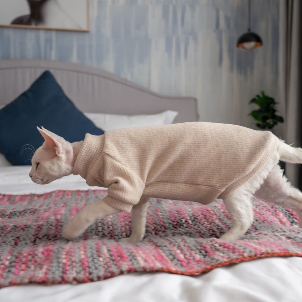 Sweaters for Sphynx Cats | Sphynx Kitten Sweater,Cat Sweater-Turtleneck