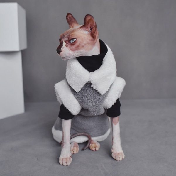 Chanel luxurious cat coat for Sphynx& Hairless Cat | Fashion winter jacket