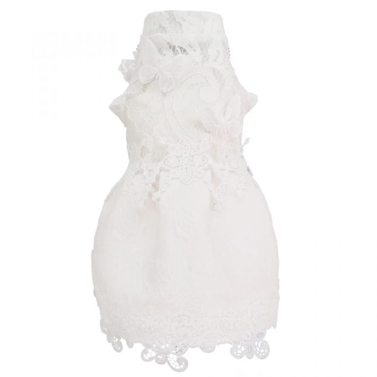 Dress for Cats | Diamond Lace Wedding Dress, Sphynx Cat Dress