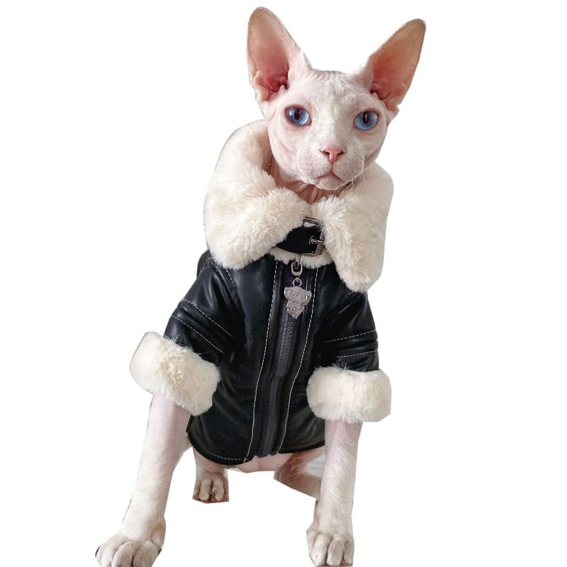 Coats for Sphynx Cats | Cat Winter Coat, Cat Coat, Jackets for cats