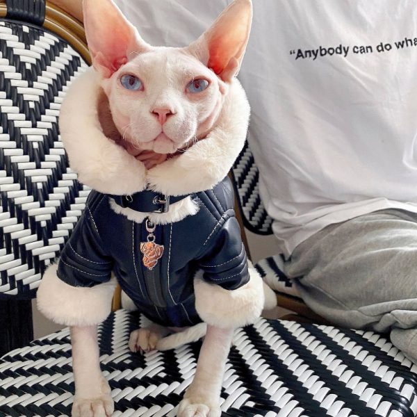 Sphynx Winter Coat Cat Winter Coat Sphynx Cat Clothes Coat