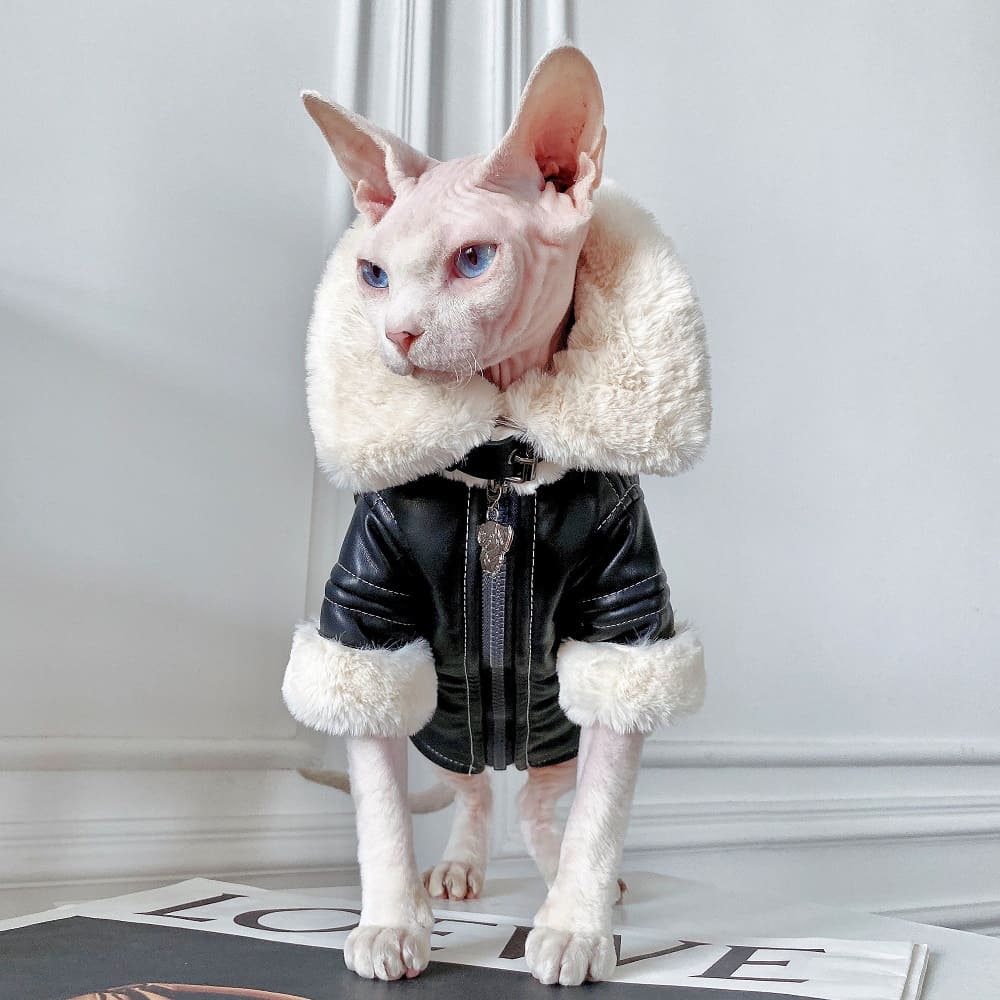 Cat Wearing Winter Cloth  Sphynx Cat Winter Coat, Reversible Fleece