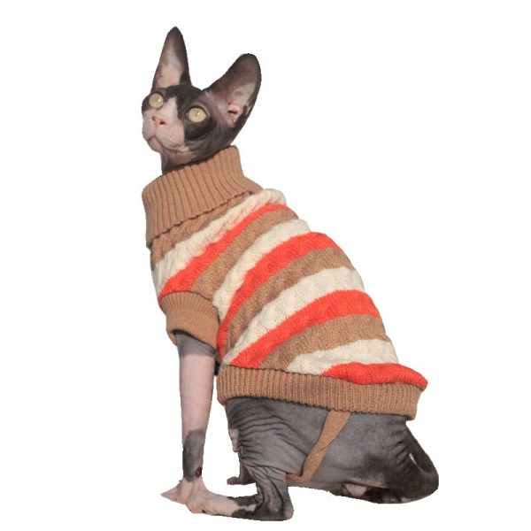 Sphynx cats in Sweaters. — I know he doesn't have a sweater…but naked cats