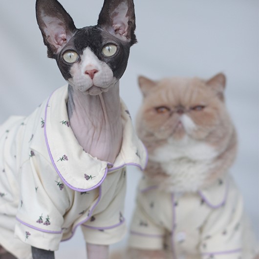 Sphynx Cat Pajamas  Cat Pajamas for Cats, Sphynx Cat LV Pajamas