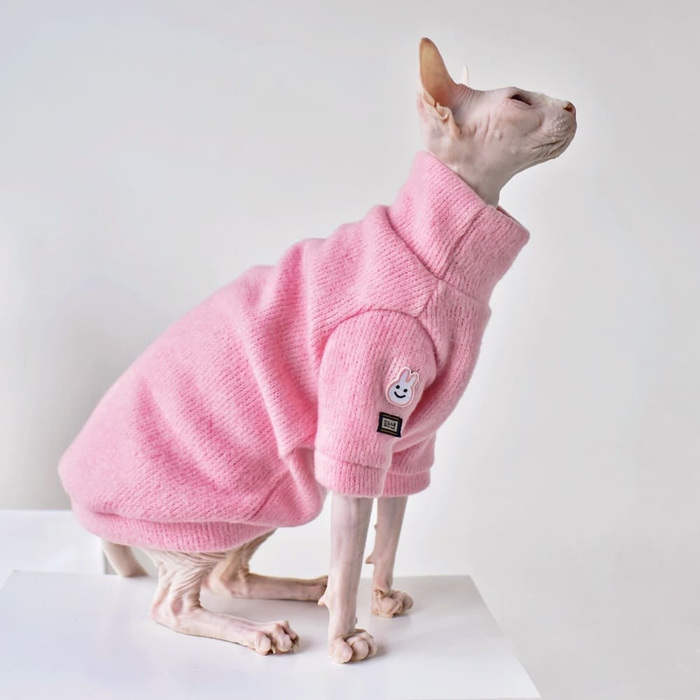Cats Sweater | Hairless Cat In Sweater-Pink Simple Sweater