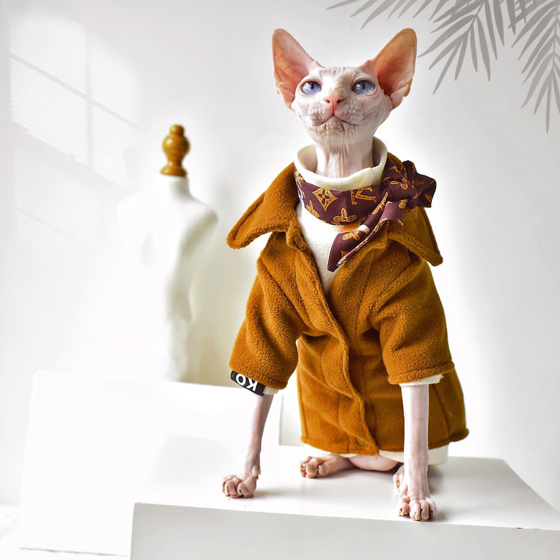 MIDDLE FINGER Sphynx Cat Clothes Cat Jacket Designer Pet 