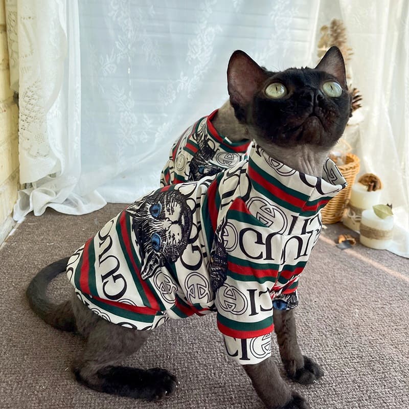 cat wearing gucci