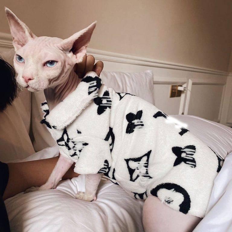 Cat Pyjamas For Cats
 Sphynx Cat Pajamas