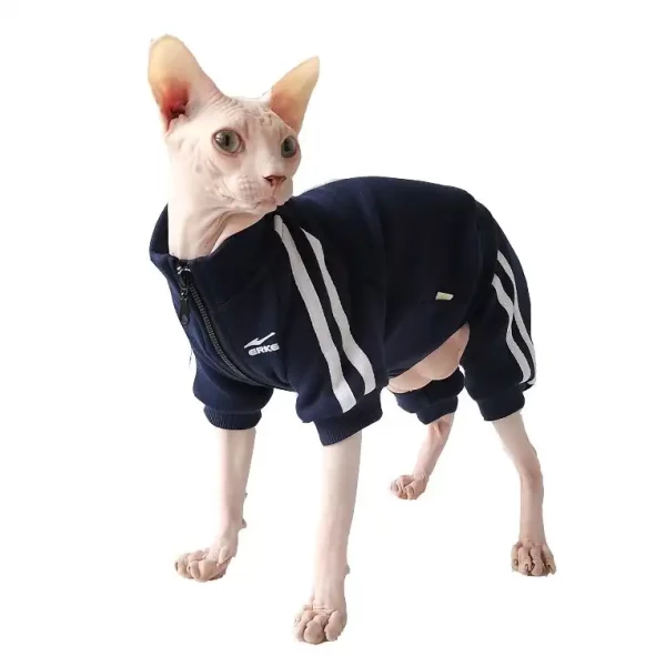 Super cute Gucci-style Sphynx harness / vest