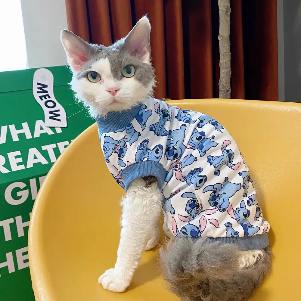 cat wearing button up shirt