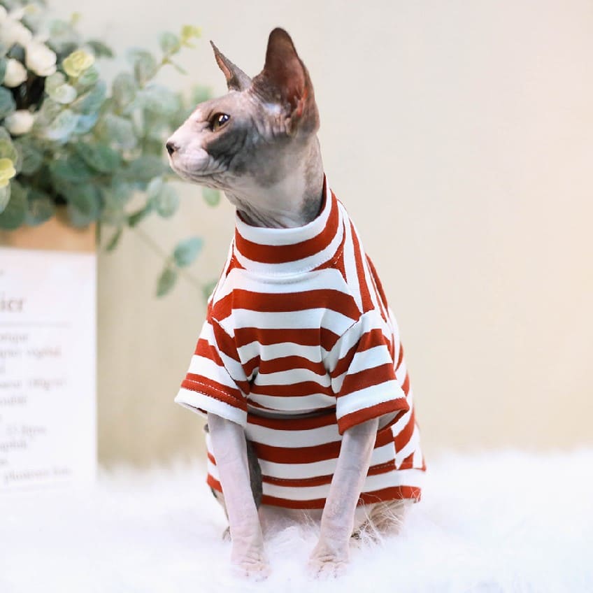  Vintage Stripes Sphynx Hairless Cats Shirt Cotton Cat