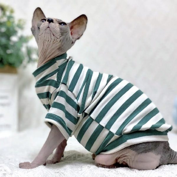 Striped Color T-shirt for Sphynx | Cat Shirt for Cats, Sphynx Cat Shirt