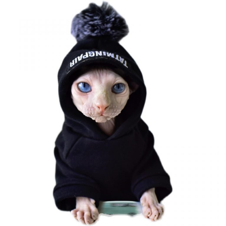 Cat Sweatshirt For Cats
 Sweatshirts for Cats