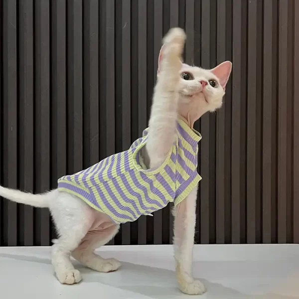 Colorful Louis Vuitton Tank Tops for Cats · YESWARMG