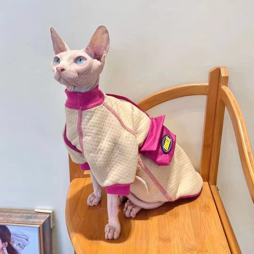Hairless Cat Sweater  Sphynx Cat Clothes Turtle Neck, Sweaters