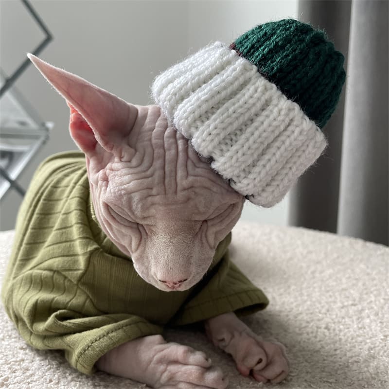 beanie hat for cats