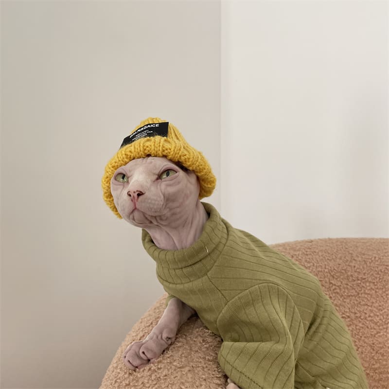 beanie hat for cats