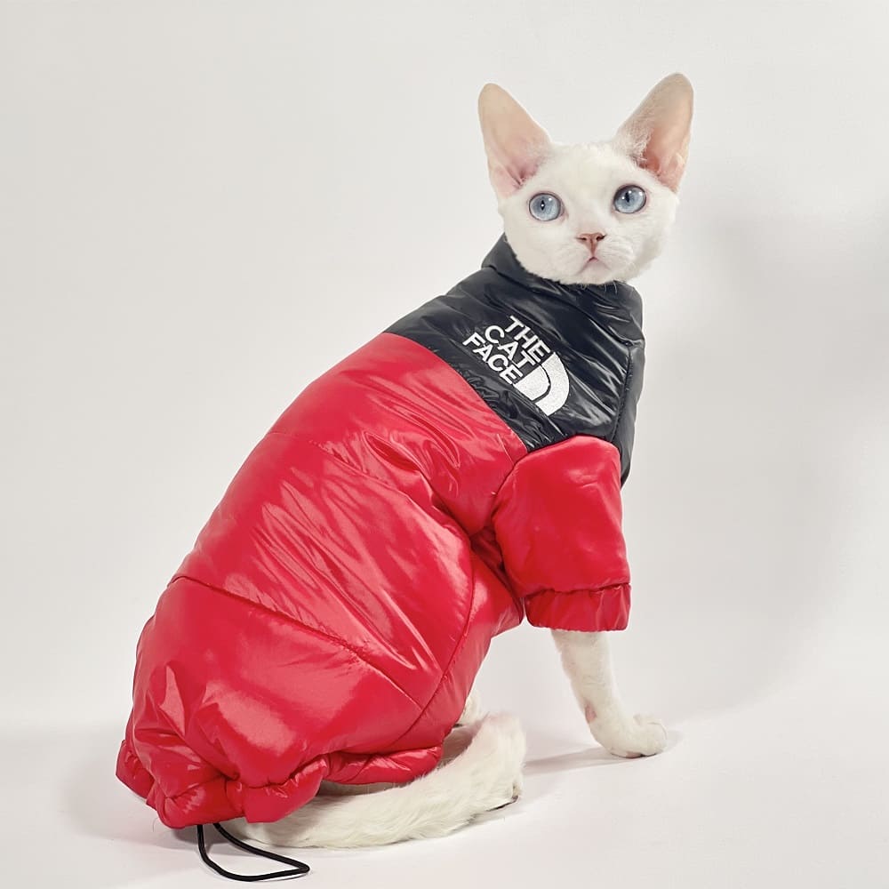 Orange Cat Down Jacket with Traction Buckle Winter Warm Pet Clothes for Cats  Gotas Kitten Sphynx