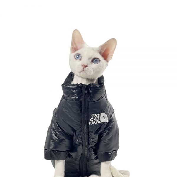 Designer cat clothes w579# - Dog Designer Shop