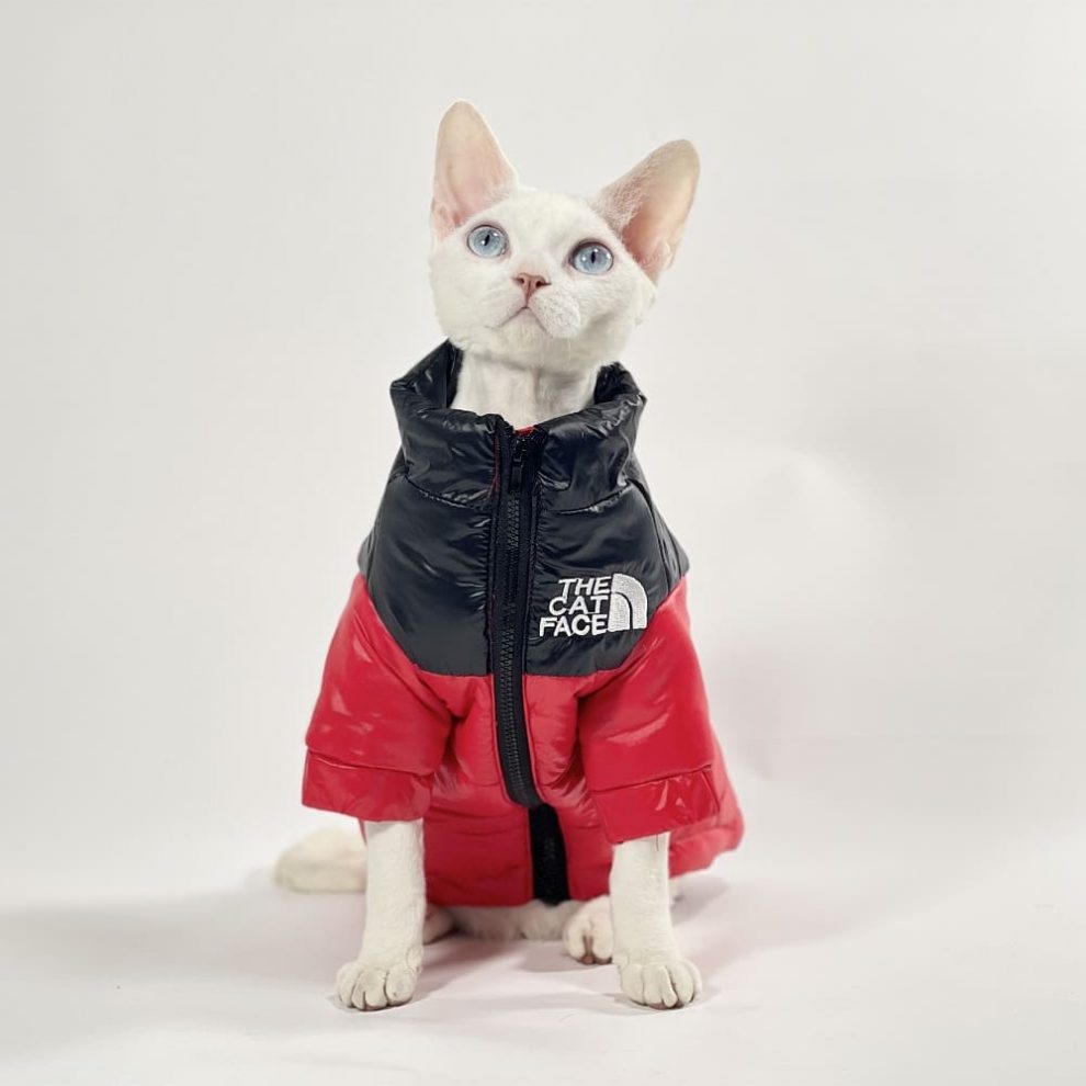 Sphynx Cats Clothes | TNF Sphynx Warm Coat, The Cat Face Coat