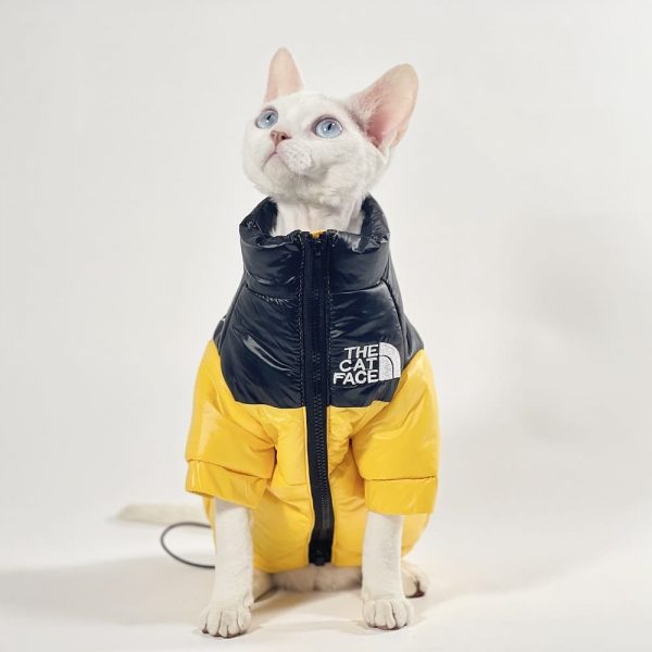 Orange Cat Down Jacket with Traction Buckle Winter Warm Pet Clothes for Cats  Gotas Kitten Sphynx