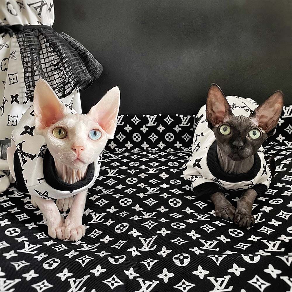 Designer Kitten Clothes | Classic LV T-shirt for Sphynx Cat