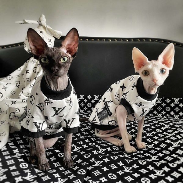 Sphynx Cat Clothes from YESWARMG