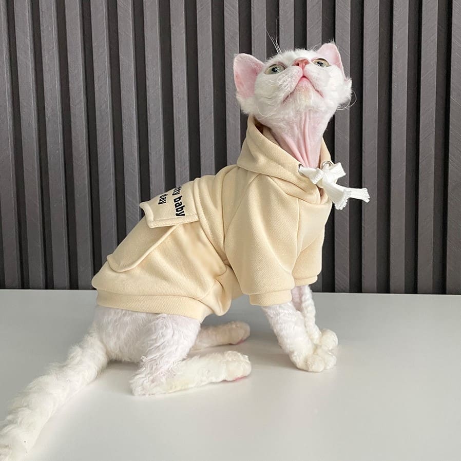 Clothing for Cats to Wear | 