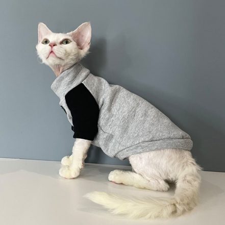 Sphynx Nike Sweatshirt 