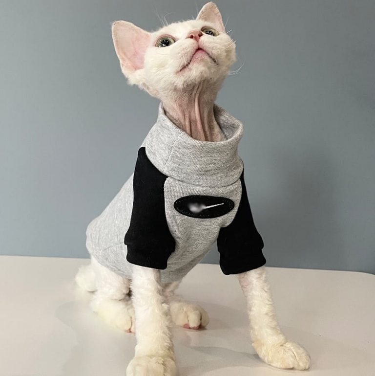 Sphynx Nike Sweatshirt | 