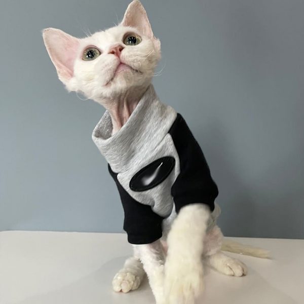 MostlyCatsMostly  Cat clothes, Cat fashion, Cats