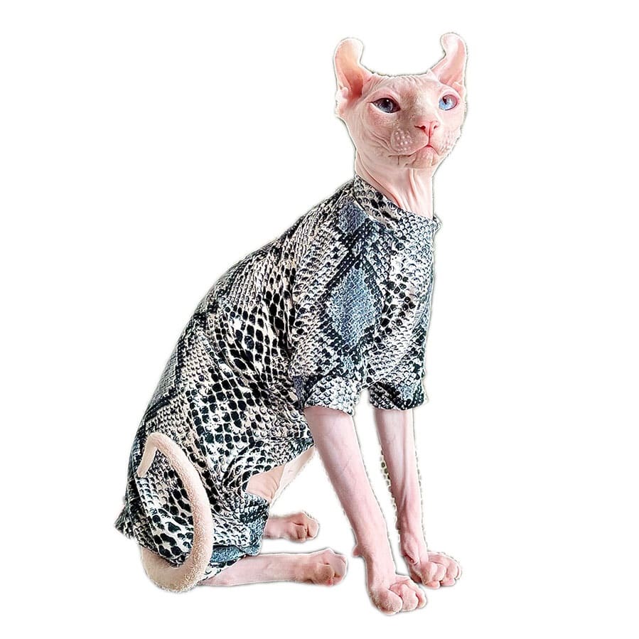 Clothes for Cats to Wear | Coolest Snake Tattoo Shirt for Hairless Cat